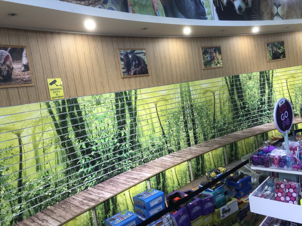 Retail Wall Graphics Blackpool Zoo Gift Shop